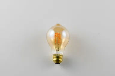 LED SWAN BULB VF　SWAN