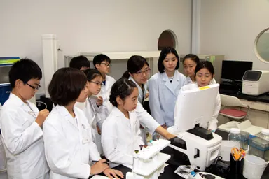 iPS細胞を顕微鏡で観察する子供たち