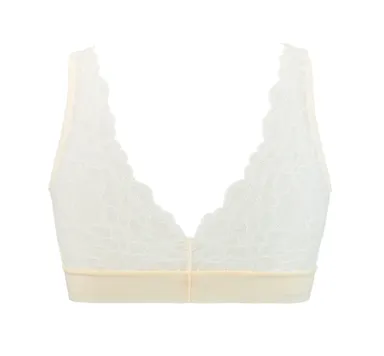 TR480 N-TOP バックスタイル