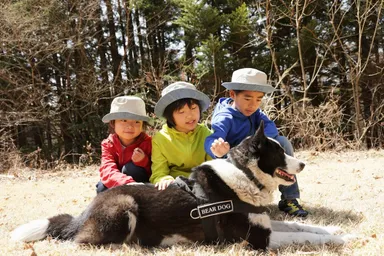 【ピッキオ】こどもインターンシップ（ベアドッグ01）