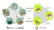TCC JAPAN、岩手産有機栽培マッシュルームの提携販売に合意　引退馬と人をつなげる新しい循環型農業に貢献