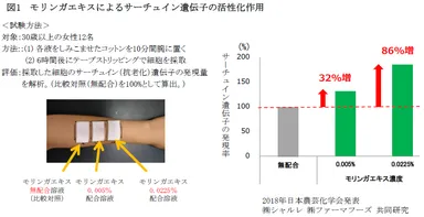 図1　モリンガエキスによるサーチュイン遺伝子の活性化作用