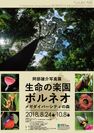 写真家の阿部 雄介氏による熱帯雨林／ボルネオに注目した写真展　第80回特別展を東京農大「食と農」の博物館で8月24日から開催