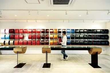 ぴかちゃんらんどせるイメージ(2)