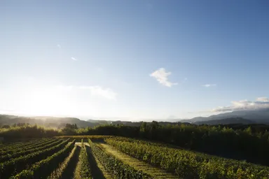 【リゾナーレ八ヶ岳】ドメーヌ ミエ・イケノ