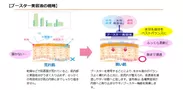 ブースター実験01