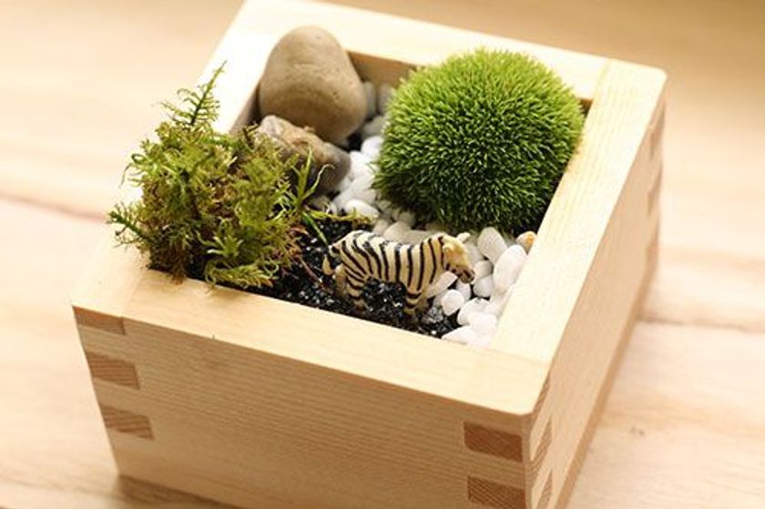 枡の中に自分だけのミニガーデンを作ろう！
「ピクセルガーデン作り」をエビスタ西宮で開催！