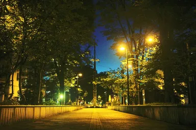 【OMO7旭川】緑道（夜）