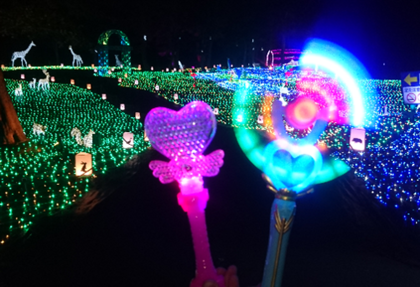 女性満足度、驚異の97％！！
圧巻のイルミネーションを体感しよう！！