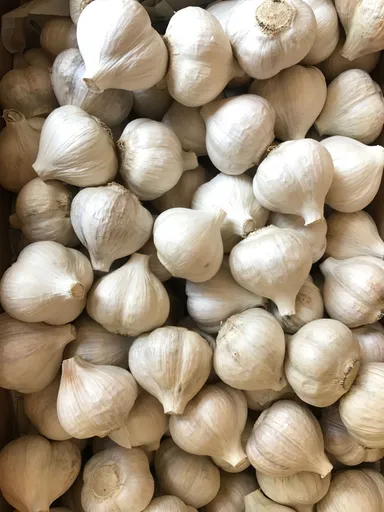 口臭安心ニンニク