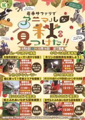 ピューマの肉やり体験やキリンのお仕事体験などが楽しめるイベント“岩手サファリでアニマルな秋見つけた！！”9月8日から開催