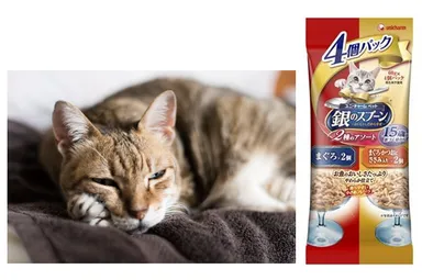 商品の特徴 高齢ねこ用