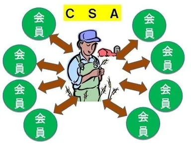 ＣＳＡ画像