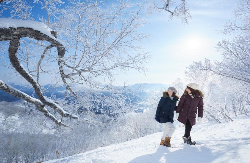 星野リゾート　リゾナーレトマム（北海道勇払郡占冠村）
スキー、スノーボードをしないスノーリゾートの楽しみ方
気軽に冬山を楽しむ宿泊プラン「雪ガールステイ」を販売
宿泊期間：2018年12月1日〜2019年3月30日チェックインまで