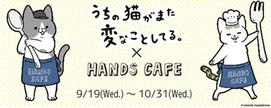 コラボメイン画像