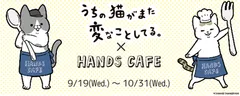コラボメイン画像