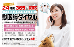 ペット保険のPS保険が【ご契約者さま専用 獣医師ダイヤル】を開始～愛犬・愛猫の健康を24時間365日、いつでもサポートします～