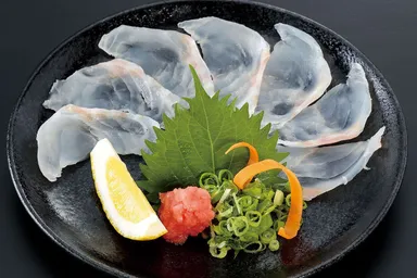 長崎五島 クエの薄造り