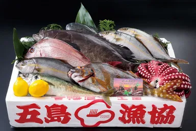 下五島列島の天然鮮魚イメージ