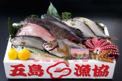 下五島列島の天然鮮魚イメージ 