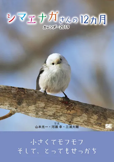 シマエナガさんの12ヵ月 カレンダー  2019（翔泳社）