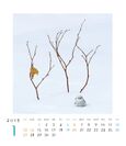 シマエナガさんの12ヵ月 カレンダー  2019（1月）