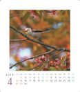 シマエナガさんの12ヵ月 カレンダー  2019（4月）