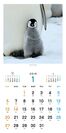 北極スマイル・南極スマイル カレンダー 2019（1月）
