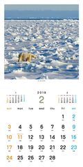北極スマイル・南極スマイル カレンダー 2019（2月）