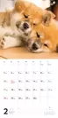 むくむくもふもふ 秋田犬 カレンダー 2019（2月）