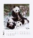 パンダ！パンダ！パンダ！ カレンダー 2019（2月）