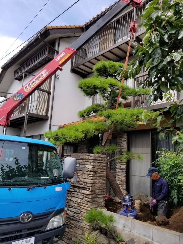 「植木の里親活動」に依頼が殺到、開始当初の30倍以上！
実家の売却時に、家族の思い出ある植物を伐採せずに保護