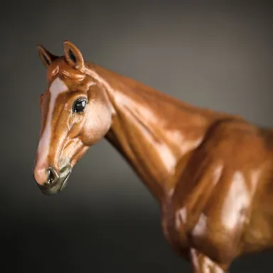 オルフェーヴル 顔アップ