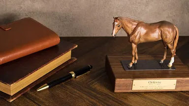 オルフェーヴル 設置例