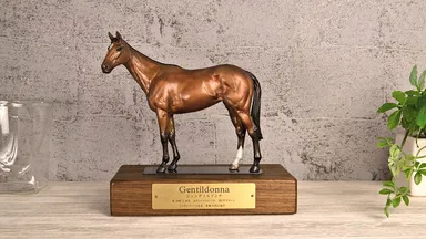 ジェンティルドンナ 設置例