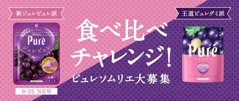カンロの“新ジュレピュレ”と“王道ピュレグミ”の違いを楽しむ
「ピュレソムリエ」大募集！
食べ比べチャレンジキャンペーン！
