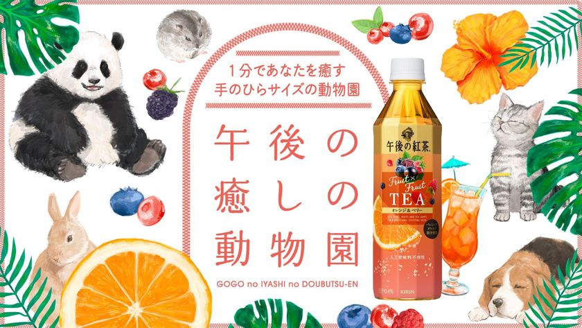 キリンビバレッジ史上初！
スマートフォンで遊べる「午後の癒しの動物園」開園！
「午後の紅茶 Fruit×Fruit TEA オレンジ＆ベリー」新発売