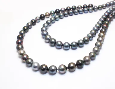 タヒチ特産　黒真珠