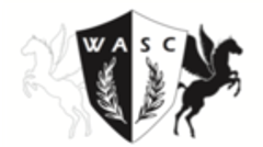 Avalon Consulting株式会社のロゴ