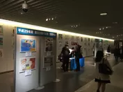 平成29年度の展示風景(札幌会場)
