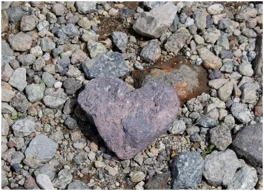 みくりが池周遊の遊歩道には、ハート形の石も！