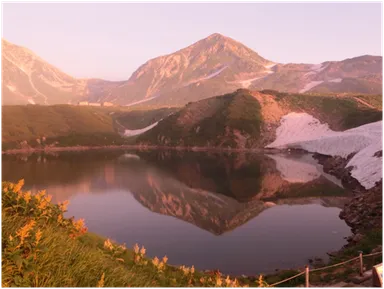 室堂平：ピンク色に染まったハートのみくりが池