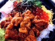 400円で“うに・いくら丼”が食べられる！入場無料！真夏の海鮮尽くしのフェス、9月15日に横浜で開催