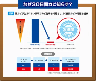 黒カビ発生度合い