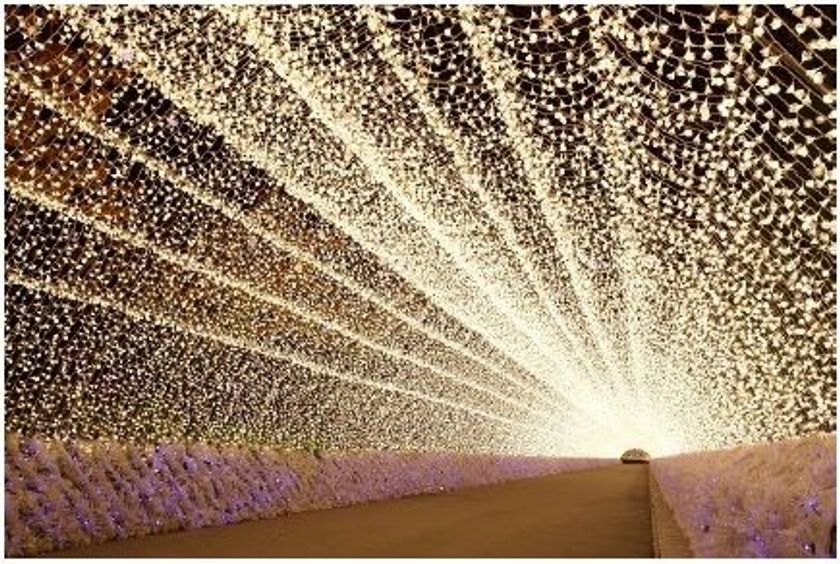 「なばなの里 イルミネーション」へは電車とバスで便利にお得に
近鉄長島駅に急行を臨時停車、「なばなの里」への直通バスを運行！
～電車・バスの往復乗車券、「なばなの里」入村券などをセットしたお得なきっぷも発売～