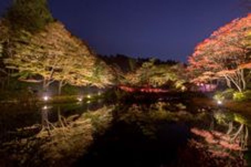 ライトアップされた紅葉とアートを楽しむ
六甲高山植物園　夜の紅葉散策
10月19日(金)～11月11日(日)開催！