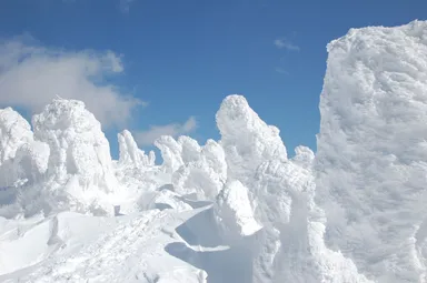 【青森屋】八甲田山　樹氷