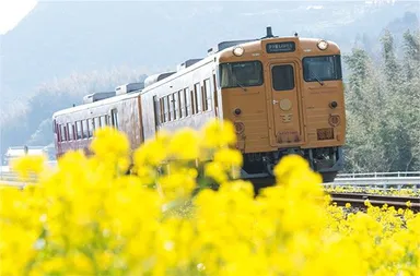 「伊予灘（いよなだ）ものがたり」＜JR四国＞