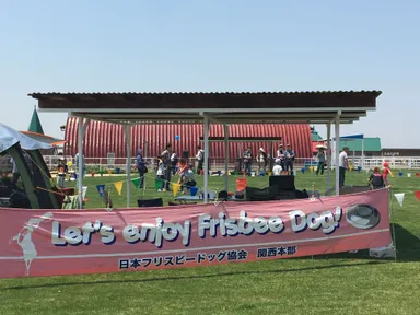 フリスビードッグ