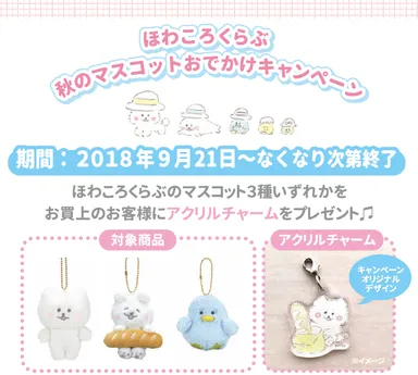 キャンペーンPOP